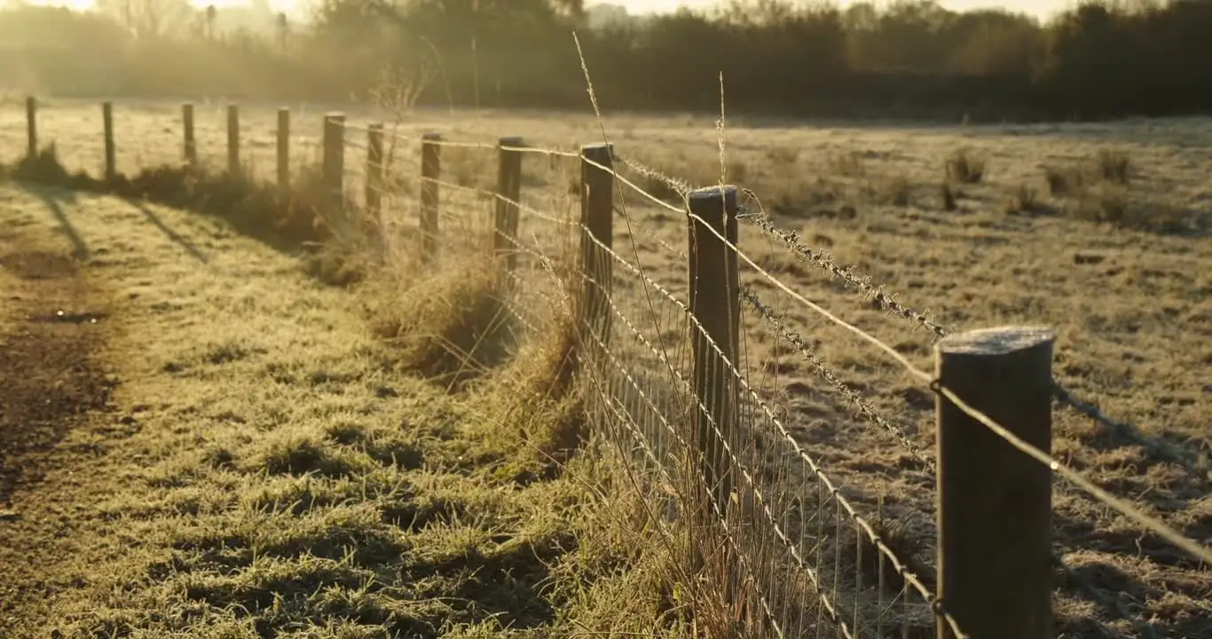 Fence line running through a pasture at golden hour