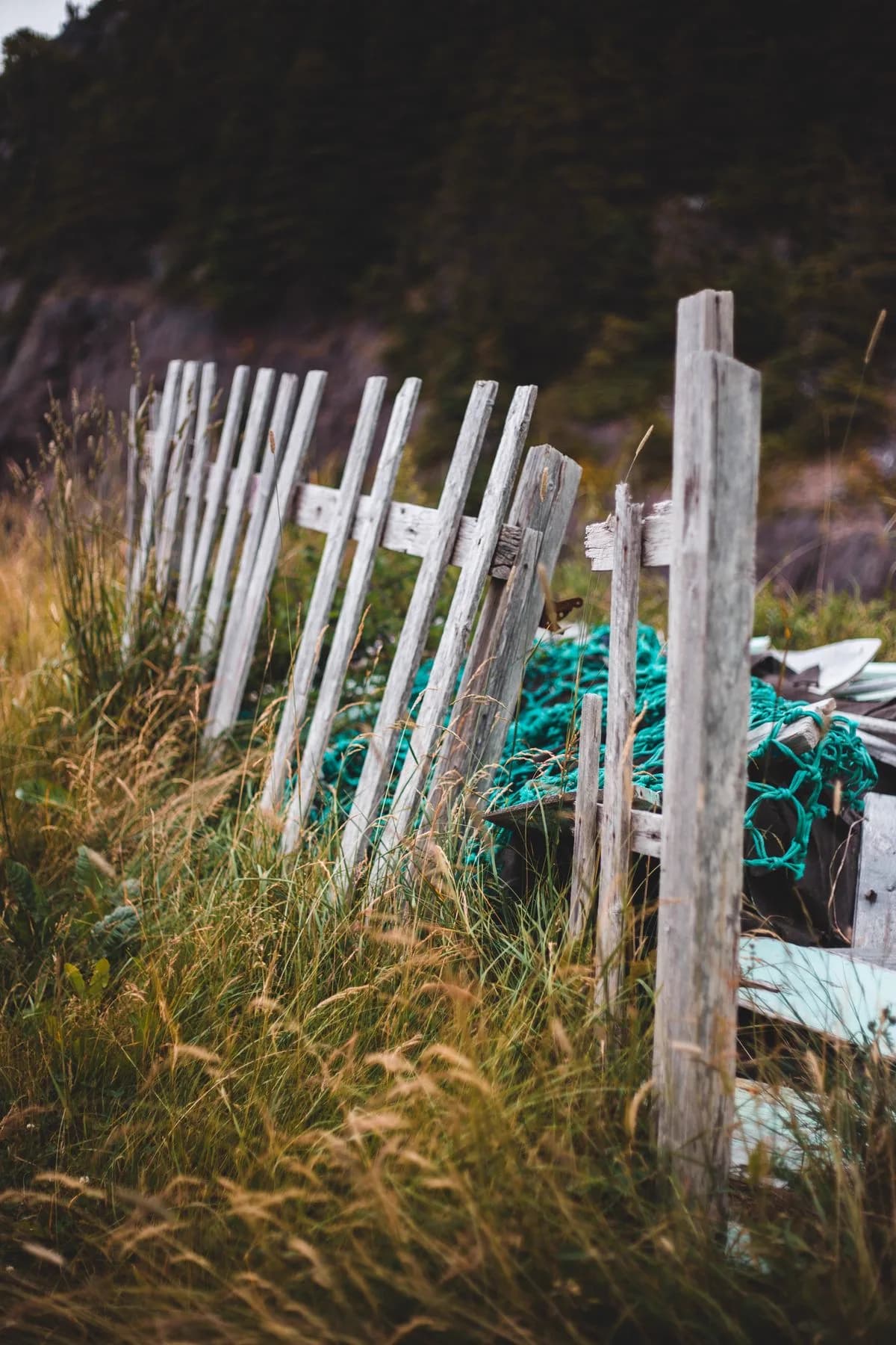 Weathered, leaning fence pickets in tall grass
