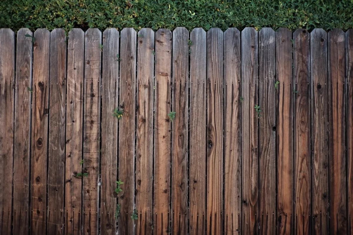 Wood privacy fence pickets — the most common new install in Mansfield